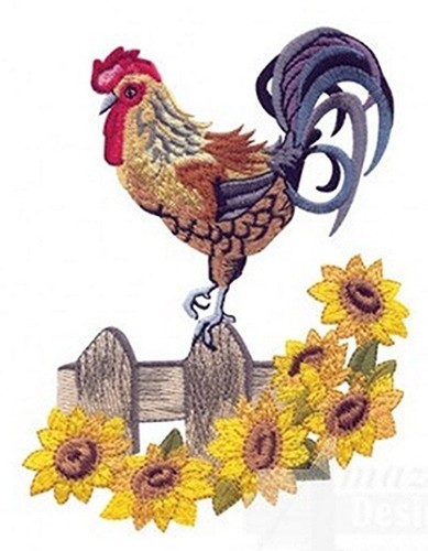 Macchina ricamo disegni - disegni, usb