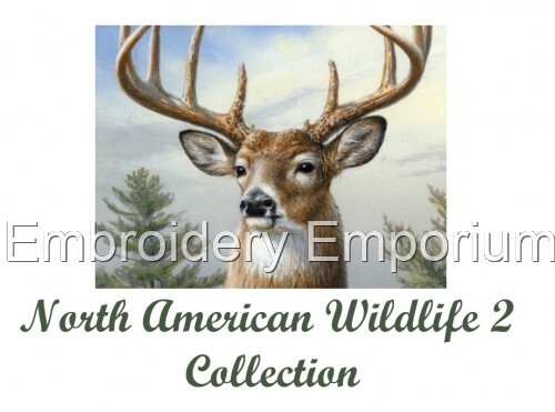 North american wildlife - north,