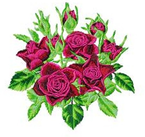 Macchina ricamo disegni usb - disegni,