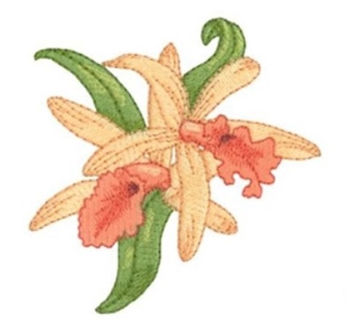 Macchina ricamo disegni usb - ricamo,
